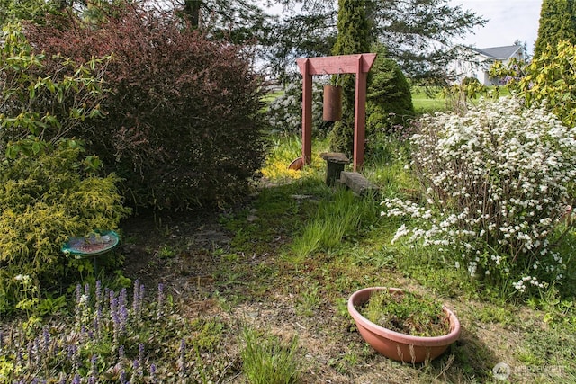 5296 Olson Rd, Ferndale, WA 98248 - view of yard