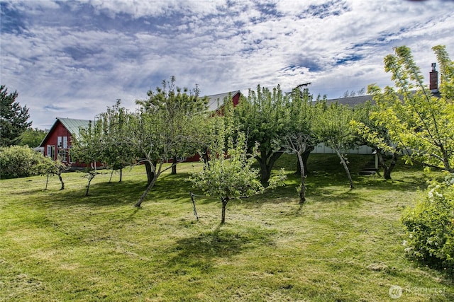 5296 Olson Rd, Ferndale, WA 98248 - view of green lawn