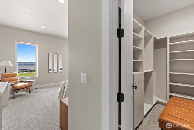 9604 Ridgeview Dr NW, Quincy, WA 98848 - walk in closet with light colored carpet
