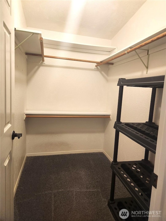 walk in closet with carpet flooring