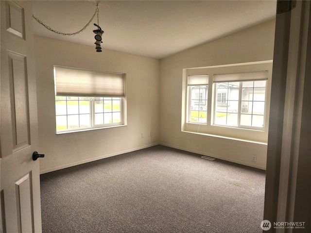 carpeted empty room featuring visible vents, a wealth of natural light, lofted ceiling, and baseboards