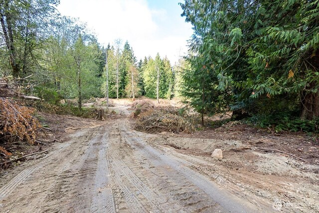 0 108th St NE, Arlington, WA 98223 - photo 4