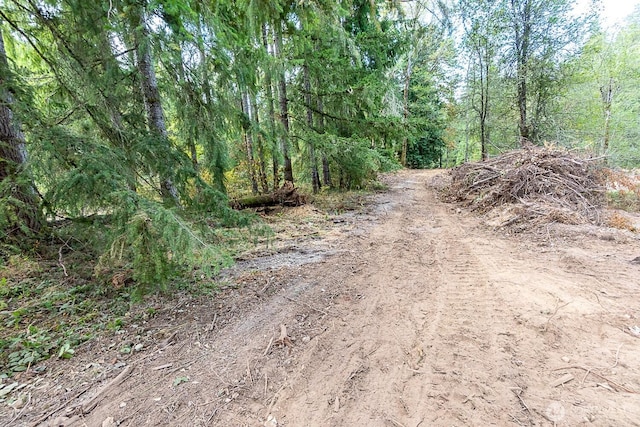 0 108th St NE, Arlington, WA 98223 - photo 5