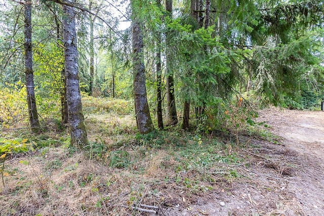 0 108th St NE, Arlington, WA 98223 - photo 7