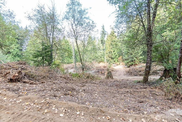0 108th St NE, Arlington, WA 98223 - photo 9