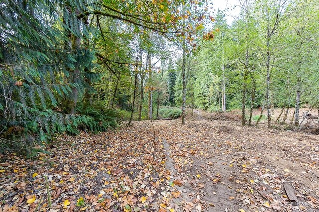 0 108th St NE, Arlington, WA 98223 - photo 10