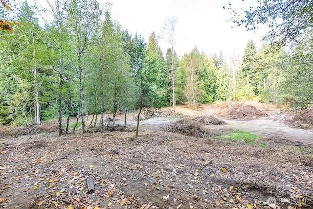0 108th St NE, Arlington, WA 98223 - photo 11