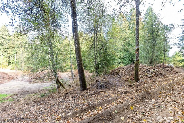0 108th St NE, Arlington, WA 98223 - photo 12