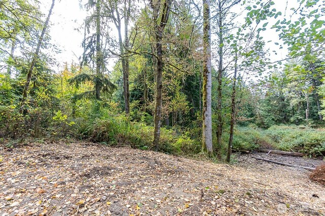 0 108th St NE, Arlington, WA 98223 - photo 13
