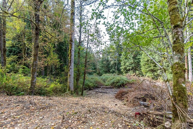 0 108th St NE, Arlington, WA 98223 - photo 14
