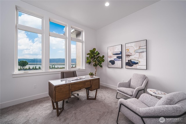 office featuring carpet flooring and baseboards