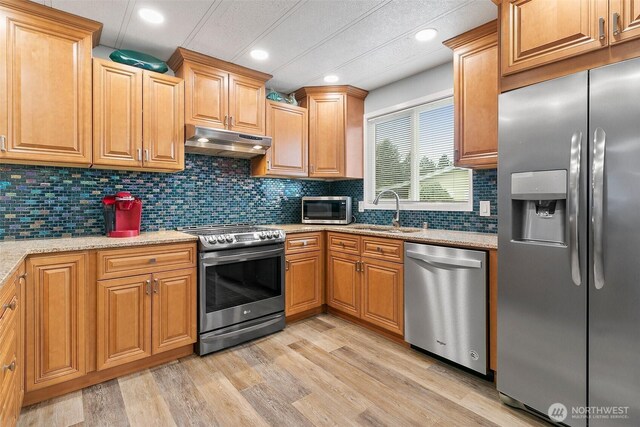 11436 SE 208th St Unit 33, Kent, WA 98031 - kitchen featuring light stone countertops, stainless steel appliances, under cabinet range hood, a sink, and light wood-type flooring