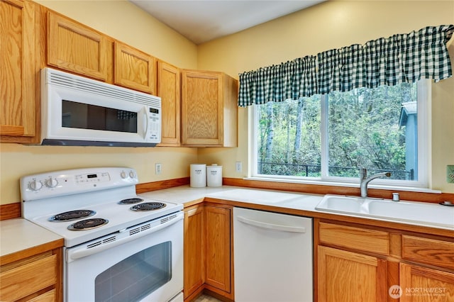 kitchen featuring light countertops, a sink, white appliances, and a wealth of natural light