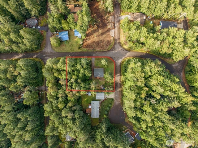 12802 Silver Dr, Anderson Island, WA 98303 - drone / aerial view