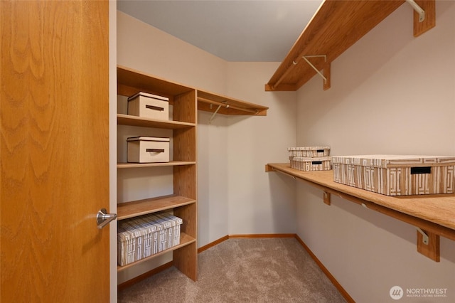spacious closet with carpet floors
