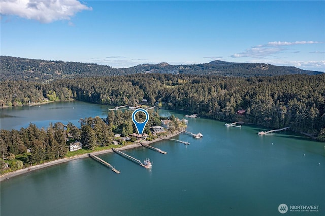 458 De Haro Ln, Friday Harbor, WA 98250 - bird's eye view featuring a water view and a forest view