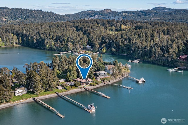 458 De Haro Ln, Friday Harbor, WA 98250 - drone / aerial view featuring a water view and a forest view