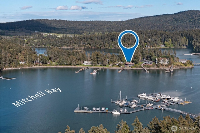 458 De Haro Ln, Friday Harbor, WA 98250 - water view featuring a view of trees