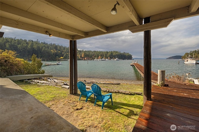 458 De Haro Ln, Friday Harbor, WA 98250 - exterior space with a water view