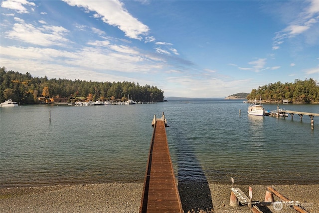 458 De Haro Ln, Friday Harbor, WA 98250 - view of dock with a water view