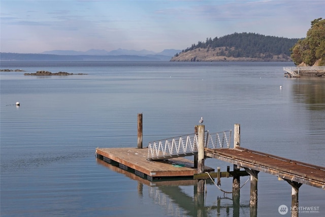 458 De Haro Ln, Friday Harbor, WA 98250 - dock area featuring a water and mountain view