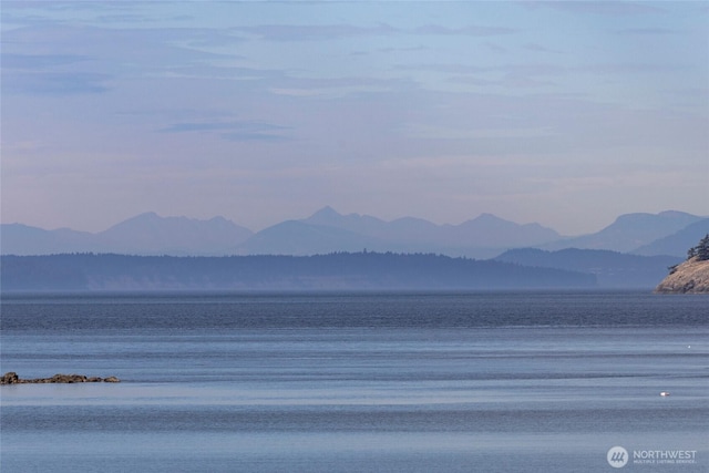 458 De Haro Ln, Friday Harbor, WA 98250 - property view of water with a mountain view