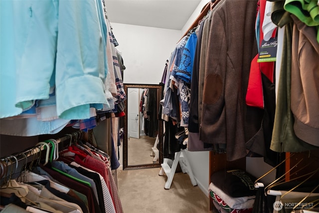spacious closet with carpet