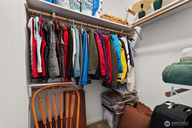 view of spacious closet