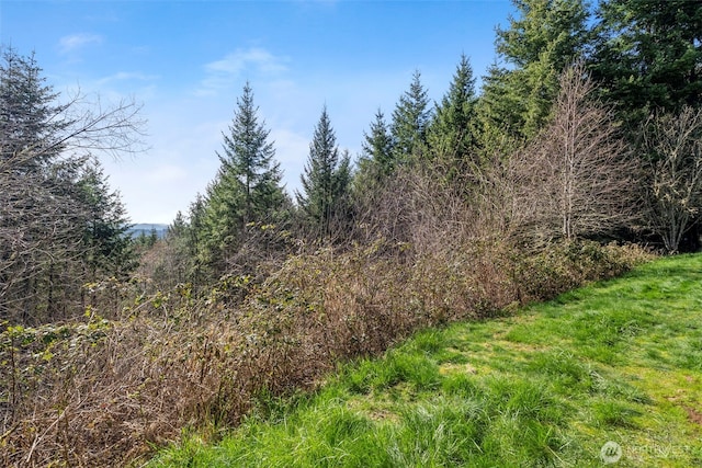 view of landscape featuring a view of trees