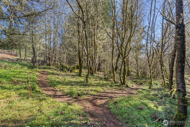 view of local wilderness