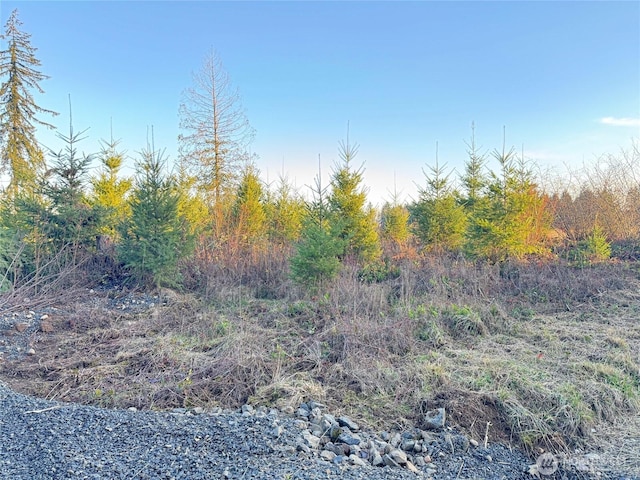 378 Hawkins Rd, Winlock, WA 98565