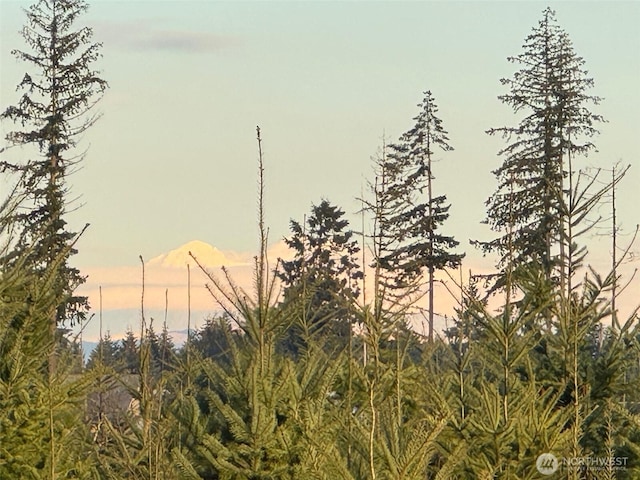378 Hawkins Rd, Winlock, WA 98565