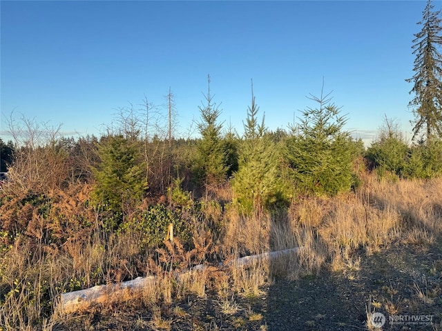 378 Hawkins Rd, Winlock, WA 98565