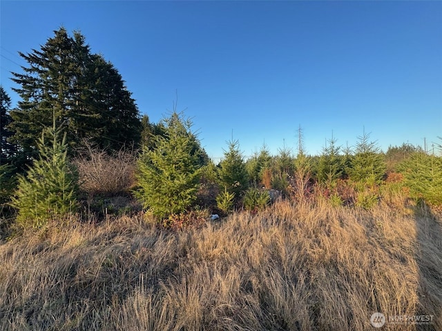 378 Hawkins Rd, Winlock, WA 98565