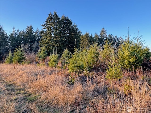 378 Hawkins Rd, Winlock, WA 98565