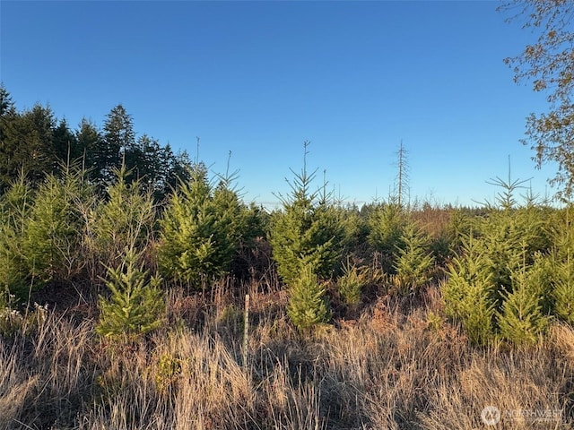 378 Hawkins Rd, Winlock, WA 98565