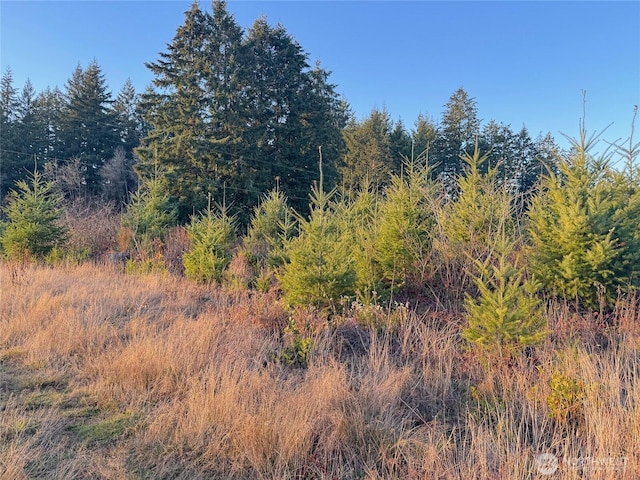 378 Hawkins Rd, Winlock, WA 98565