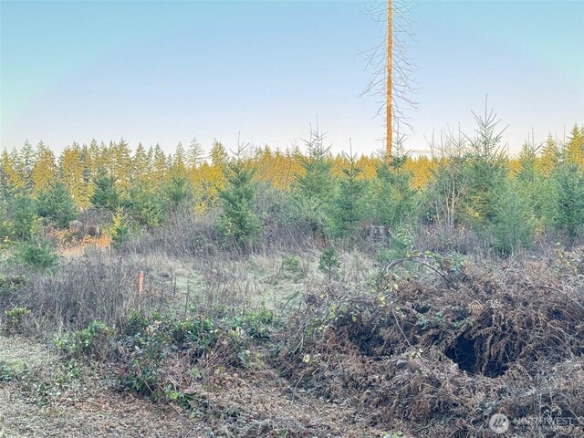 378 Hawkins Rd, Winlock, WA 98565