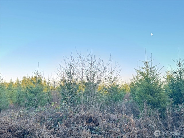 378 Hawkins Rd, Winlock, WA 98565