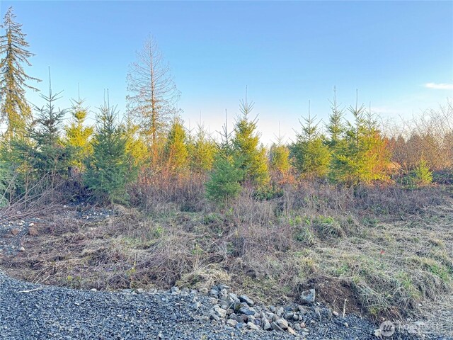 378 Hawkins Rd, Winlock, WA 98565