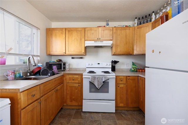 11213 Kline St SW, Lakewood, WA 98499