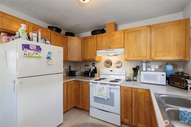 11213 Kline St SW, Lakewood, WA 98499