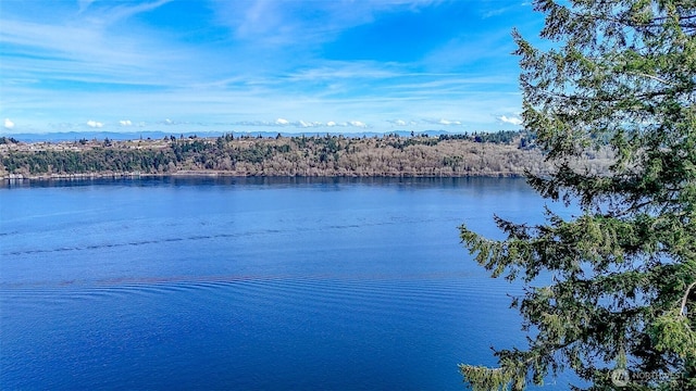 property view of water featuring a view of trees
