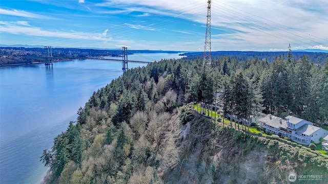 drone / aerial view featuring a water view and a forest view