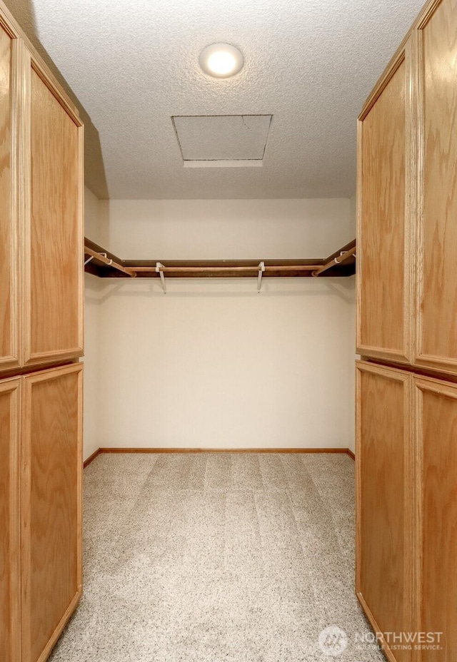 walk in closet with carpet and attic access