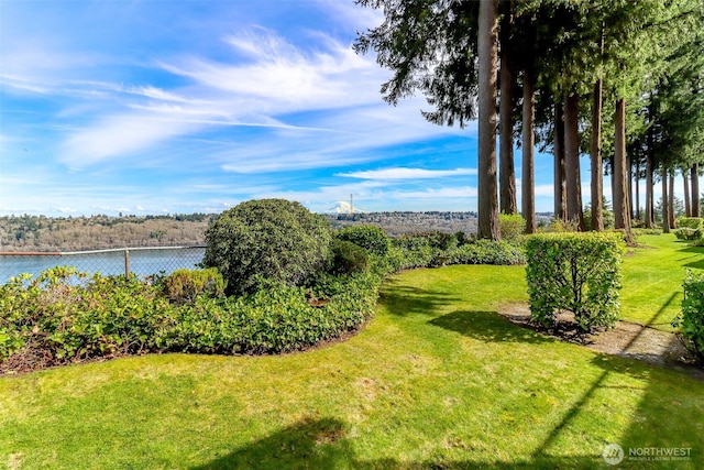 view of yard featuring a water view
