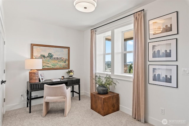 office space featuring baseboards and carpet flooring