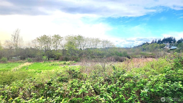 485 SW Bayshore Dr Unit C301, Oak Harbor, WA 98277 - view of local wilderness