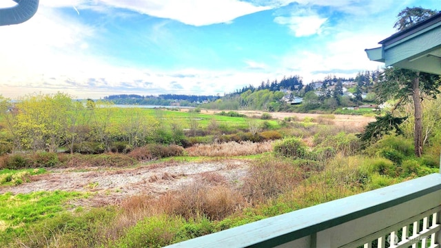 485 SW Bayshore Dr Unit C301, Oak Harbor, WA 98277 - mountain view