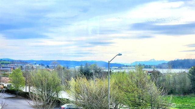 485 SW Bayshore Dr Unit C301, Oak Harbor, WA 98277 - view of mountain feature